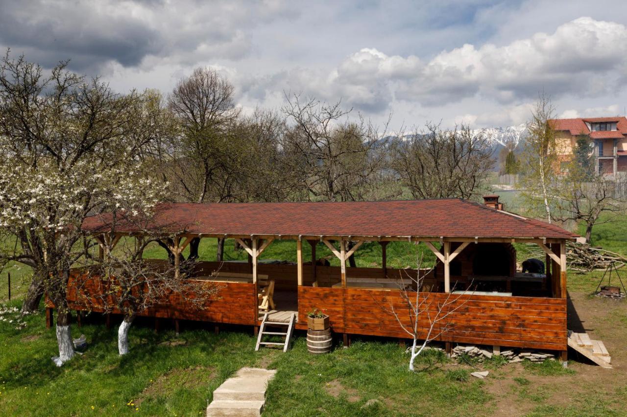 Transylvanian House Drumu Carului Eksteriør billede