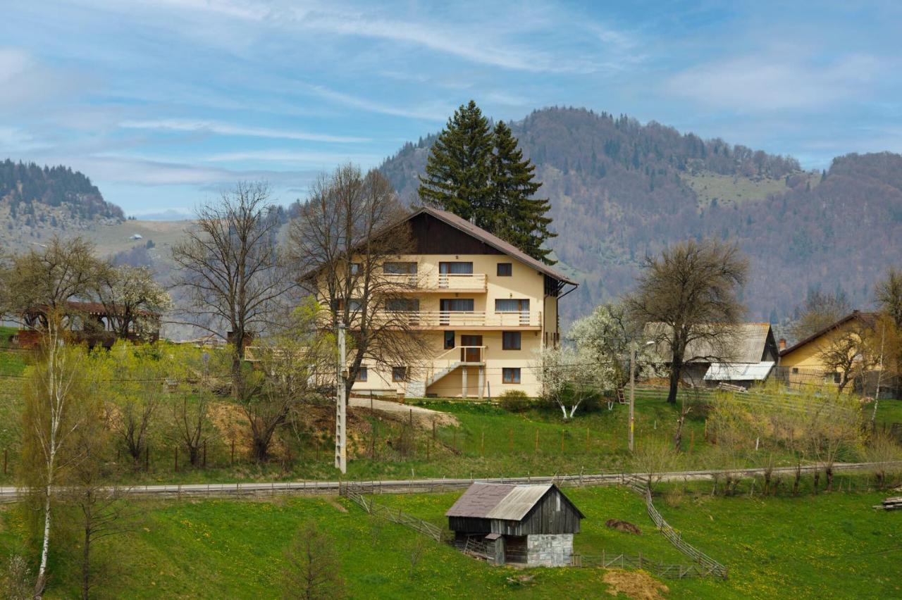 Transylvanian House Drumu Carului Eksteriør billede