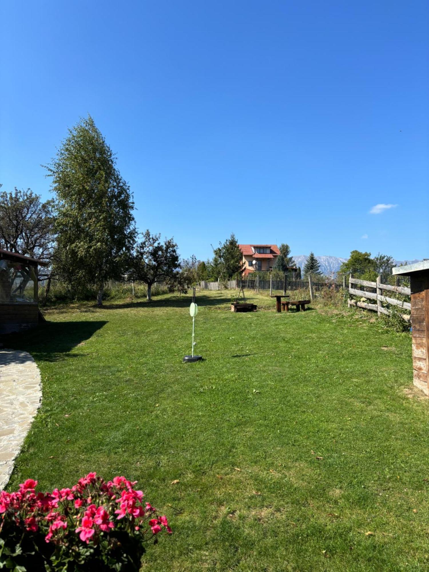 Transylvanian House Drumu Carului Eksteriør billede